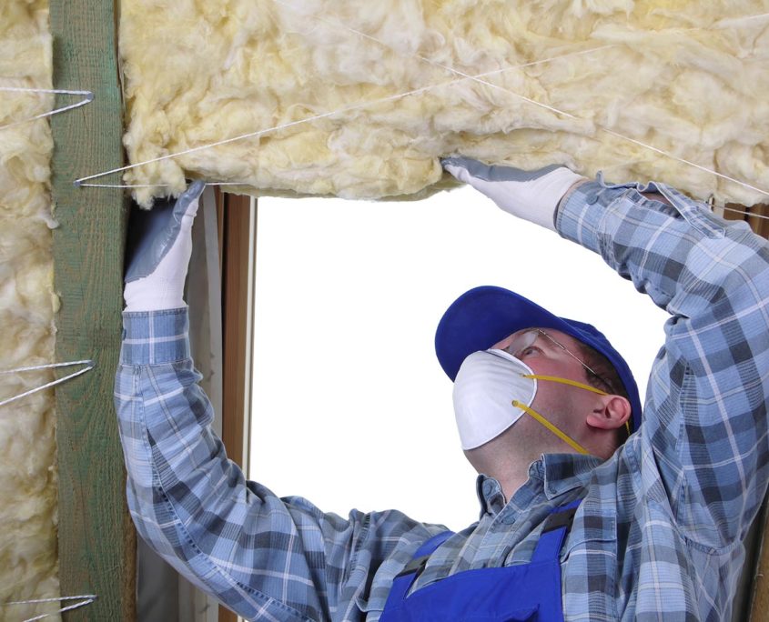 Nagetiere Archive | Kloeppel Versicherungsmakler GmbH